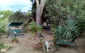 B&B Il Vigneto