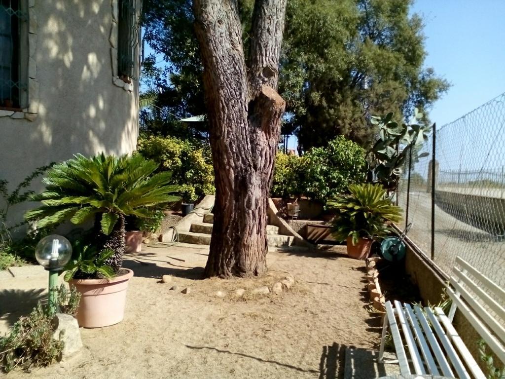 B&B Il Vigneto Capoterra Extérieur photo
